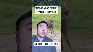 Жуткая Болезнь Превращающая Оленей в Зомби