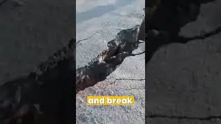 Ground Splits Open: Girl Nearly Falls In!