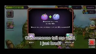 What did I bred?