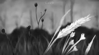 Lone (Full EP)