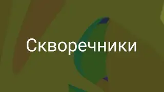 История о кворечниках 🐦