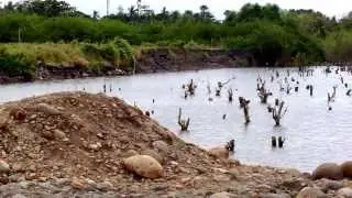 Lossless zoom on Nokia Lumia 1020 1080p FHD video