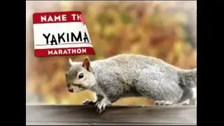 Name the Squirrels Public Service Announcements