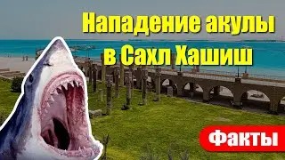 🇪🇬 Египет 2022: Нападение 🦈 акулы в Сахл Хашиш! Двое погибших! Что известно на данный момент?