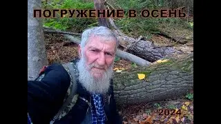 ПОГРУЖАЯСЬ В ОСЕНЬ