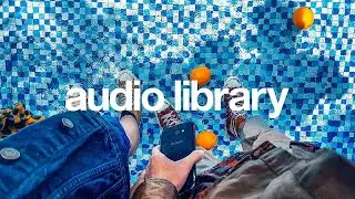 Lion – Sapajou (No Copyright Music)