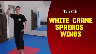 Tai Chi Lift Hands to White Crane Spreads Wings