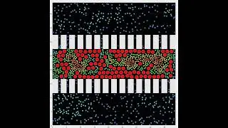 Visualization of Nanofiltration and Reverse Osmosis with Lennard-Jones particles