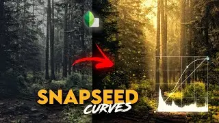 Make images look DRAMATIC in SNAPSEED | SNAPSEED TUTORIAL | Android | iPhone