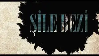 Şile Bezi Belgeseli