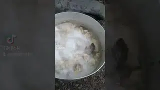 4 თებერვალი, 2024