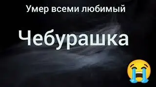Умер Чебурашка 😭 рыдает вся страна