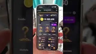 11-12 июня Новое Комбо в Хамстер Комбат на 5 000 000 монет ! Комбо карты ! Combo Hamster Kombat