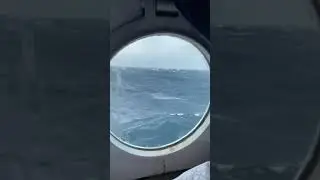 Epic Encounter with Hourglass Dolphins! - 3/24