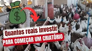 HOW MUCH TO INVEST TO START A CHICKEN FARM