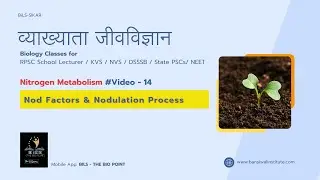 Nod Factors and Nodulation || Symbiotic Nitrogen Fixation in Root Nodules