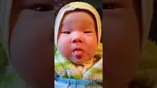 мир(1)