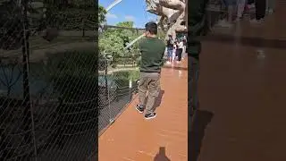 Amarah's Adventure | Dubai Safari Park