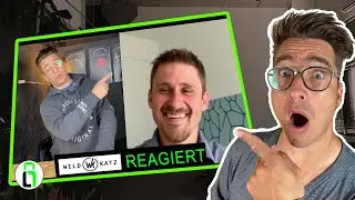 RUBEN REAGIERT AUF START-UP Wildkatz Story #Realtalk