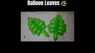 How to make Balloon Leaves 🌿 #balloon #balloonshortsvideo #balloonsbynostra #balloons #diy #fyp
