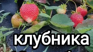 21 декабря 2023 г.