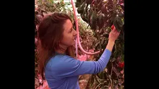 Learn how Lauren puts sustainability into practice