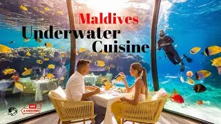 Dining With Sharks: The First Underwater Restaurant in Maldives