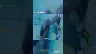 Kaeya bug in Genshin Impact 🐞 