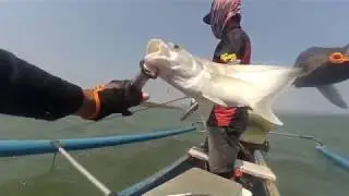 MANCING DI SPOT BUAYA TERNYATA BANYAK IKANYA