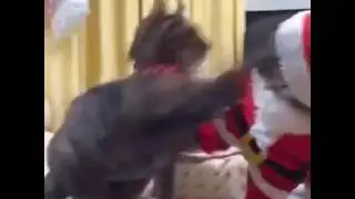 Плюха
