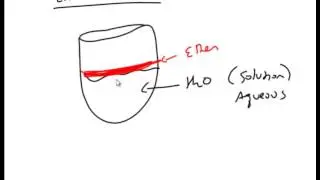 Amines Section 3 Separation Technique