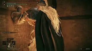 Hide And SNEAK, Elden Ring Disguises, Seamless Coop Episode 31, the Finally