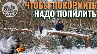 ХУТОР В ЛЕСУ. ИНОГДА ЗАЕХАТЬ ЛЕГЧЕ ЧЕМ ВЫЕХАТЬ.