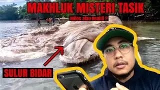 PENGALAMAN KETIKA BERDEPAN DENGAN SULUR BIDAR DI TASIK CHINI.