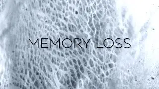 Memory Loss. | Ambient generative lo-fi sleep music. | Music video.