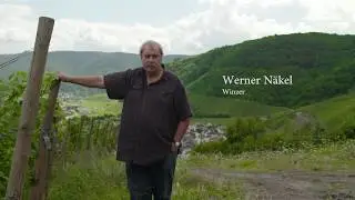Ahr – Das Tal der roten Traube