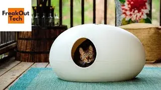 5 Incredible Inventions For Your Cat #3 ✔
