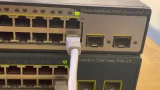 Cisco switches
