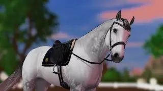 Rate this 1/10 👀 [SSO Edit]
