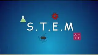 Action 11. Module 6. S. T. E. M