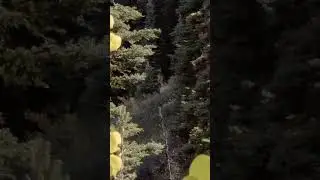 Elk Hunting | Monsters Are Coming