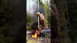 Отправить