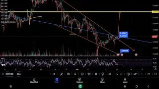 #XRP BREAKOUT LOOMS WHALES ACCUMULATE 330M #XRP TOKENS #BTC -33.6% IN WHALE TRANSACTIONS SINCE MARCH