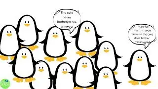 Emperor Penguin Fast Facts