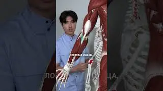 боль в локте #докторартемпак