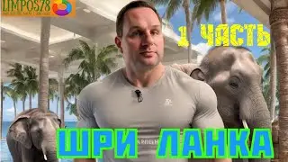 1 часть.  Шри Ланка в 2024 году в сентябре!  Перелет, обзор номера, экскурсия.