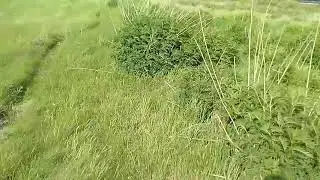 Село Сухринское Курганская область часть 2