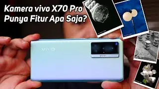 FItur Camera vivo X70 Pro Beneran Bisa Bikin Foto Auto Bagus?