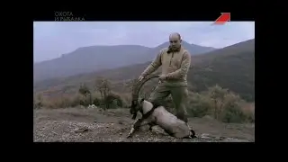 Эдуард Бендерский. Горная охота. Македония. Критский горный козёл