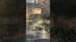 Hardscape Washing Results - 21